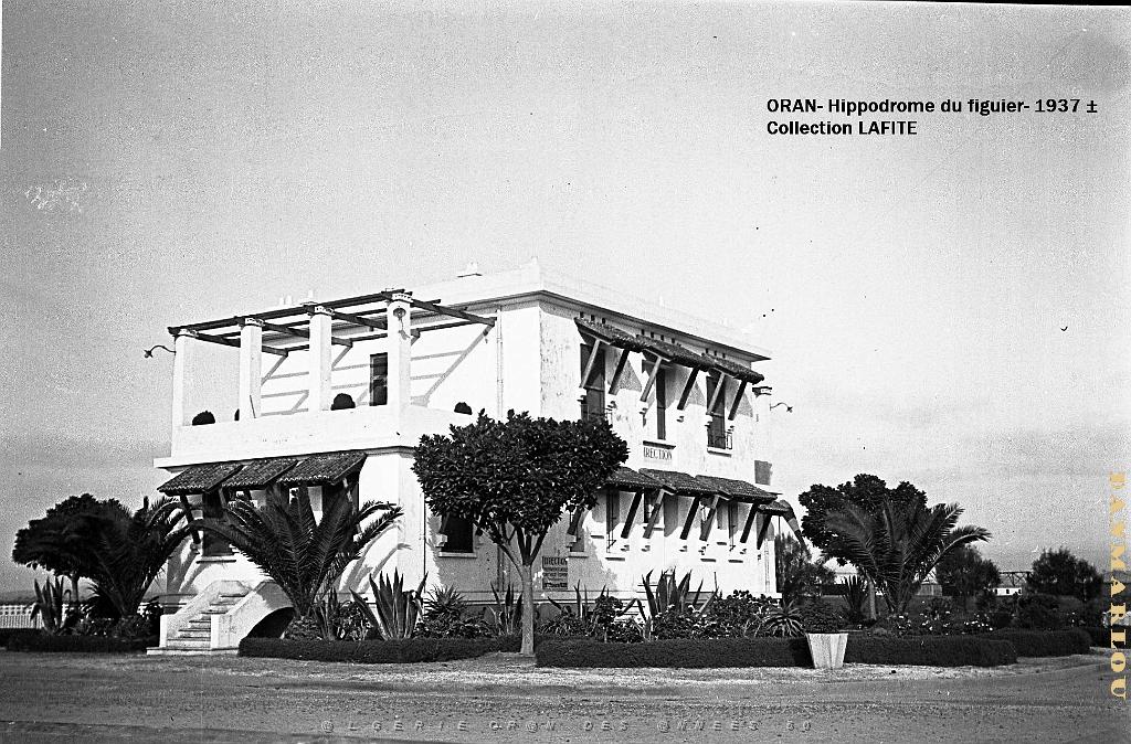 ORAN 1937 HYPPODROME DU FIGIER    (3).jpg